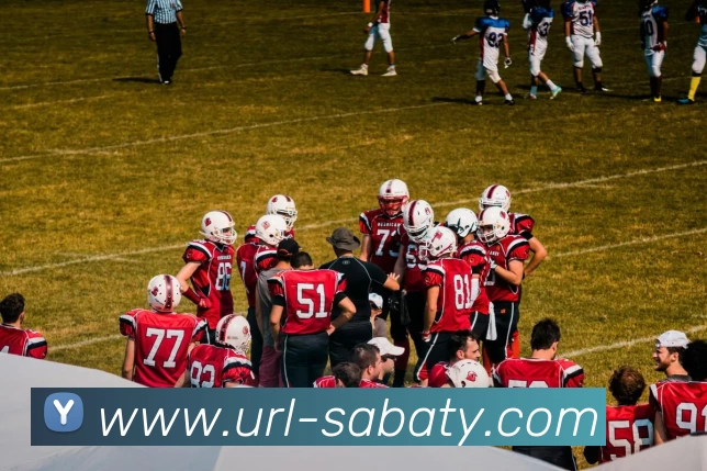 沙巴体育平台生态图